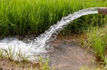 The Importance of Groundwater Management in Environmental Engineering
